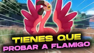 FLAMIGO IS MY FAVORITE REGULATION H POK&Eacute;MON