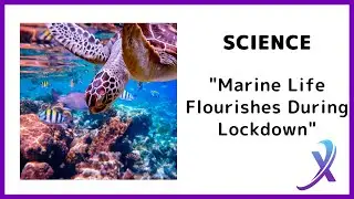 AcTV Newscast 5.4 &ldquo;Marine Life Flourishes During Lockdown&rdquo;