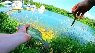 Fishing crystal clear pond!