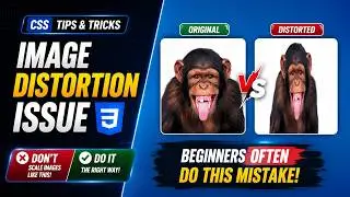 CSS Image Distortion Fix | object-fit & object-position Explained | CSS Tips & Tricks
