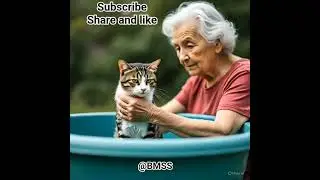 cat's stories #avengers #cat #cartoon #animals #superhero #funny #cute #meow #unstoppable