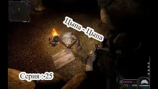 S.T.A.L.K.E.R. Clear Sky — Битва с Цыпой | Прохождение | Серия 25