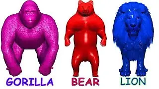 Learn Colors Learn Animals Name and 🟥🟦🟨🟧🟪⬛️ 