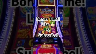 It started good&hellip;&hellip;Coin Trio Fortune Trails Tiger Feature.  #casino #jackpot #gambling #slots