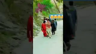 Monkey attacked people #new #music #newvideo #nature #musicsong #monkey monk
