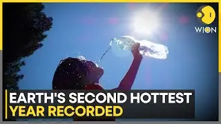2025, The Second Hottest Year On Record? | WION