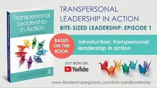 Bite-sized Leadership - Episode 1: Introduction to transpersonal leadership in action