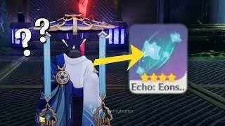 Can't Get Wanderer Echo? WATCH THIS