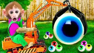 Smart Baby Monkey Bi Bon drives excavator to harvest giant eyeball jelly| Animals Home Monkey