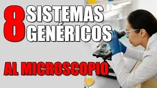 Juegos de rol genéricos: ¿lo son realmente?