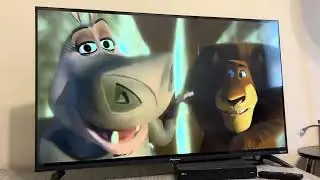 Opening to Bee Movie 2008 DVD