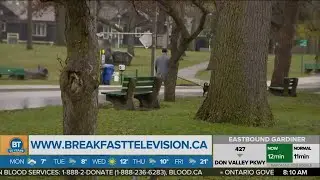 High Park reopens following the cherry blossom bloom