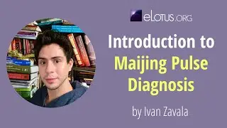 Introduction to Maijing Pulse Diagnosis