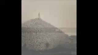 EIR - Stony Shore