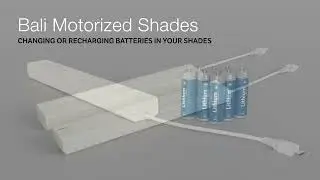 Bali Motorization | Changing or Recharging Batteries