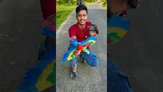 Electric Flying Bird Toy with Hanging Wire Automatic for Ceiling Parrot Pet Supplies | Ruhul Shorts