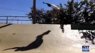 Ocidental Skate Style - Os masters