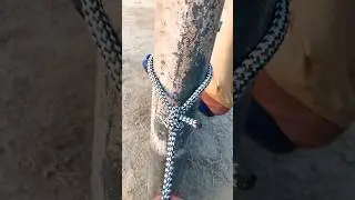 A GREAT Knot in our daily life