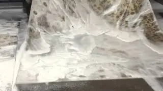 Blue Paisley Fine Rugs - Machine Washing