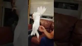 Tula being Tula
