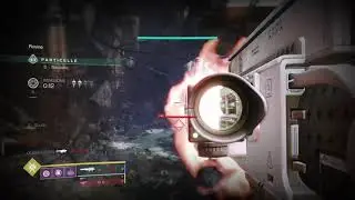 Destiny 2 Maximum carnage
