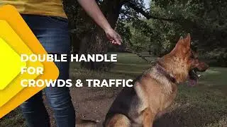 Adityna Double Handle Leather Leash