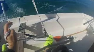 Sailing a CL14 with Rihanna and Eminem (Scarborough, ON)