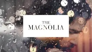 The Magnolia - Little White Dove