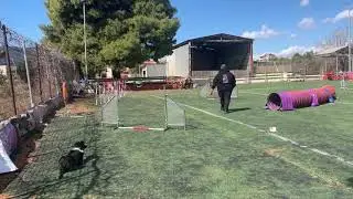 Dimitris & Jasmine - Agility training with 6 months old Border Collie
