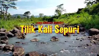 Kali Sepuri View Viral Nanggulan Diantara Persawahan