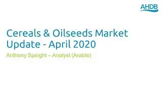 Cereals & Oilseeds Market Update - April 2020