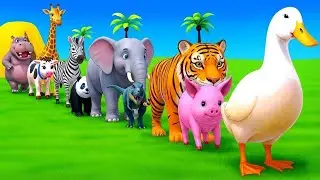 Long Slide Game With Elephant Gorilla Buffalo Hippopotamus Tiger 3d Animal Game Funny 3d Animals