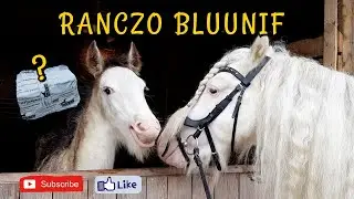 BAILEYS POZNAJE SWOJĄ CÓRKE + UNBOXING