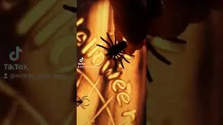 Sand box voor halloween🕷 #activityforkids #sandtable #sandbox #sensoryplay #sensorytable