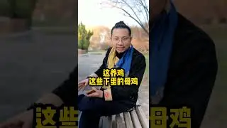 Can Taoist priests drink milk? 🥛 #DaoistDiet #MonasticLife