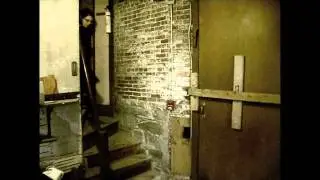 The Phantom of Victoria Mansion