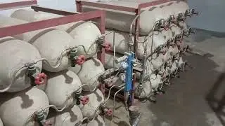 bio gas filling start CNG cylinder CEO Rana Muhammad Naeem 03006684431