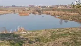CHILIENI , Lacul Scoala ...