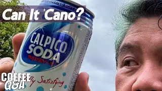 Calpico Fizzy Americano - Calpico Soda - CQA 258