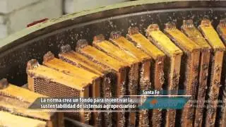 Pampero TV. 11-12-2015. Santa Fe tiene su ley de fomento ap&iacute;cola.