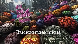 Магический комп и яйца. All the Magic - Arcana Ep.5