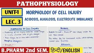 Marphology of cell injury। Atrophy, hypertrophy, hyperplasia, dysplasia । Calcification, acidosis