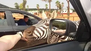 ZooSafari Fasano 24 August 2013