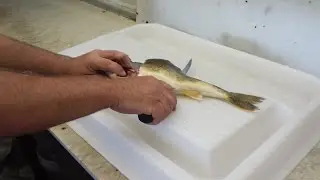 FilletMaker
