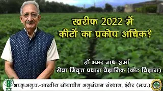 खरीफ 2022 की सोयाबीन में कीटों का प्रकोप अधिक समय तक रहने की आशंका - डॉ अमर नाथ शर्मा || IISR INDORE