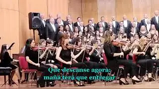 Panxoliña voadora 2024 - Ernesto Campos