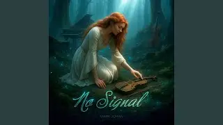 No Signal