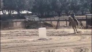 SWF MONSTERR FLING - schooling lope Jan 2026
