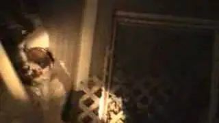 coon collector 1- 5 sec glitch at start