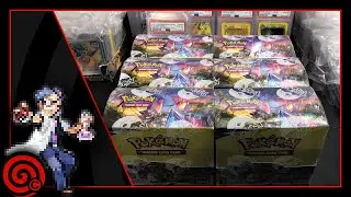 TCC Grading Pre-Order available now :) | Pokemon Card Livestream